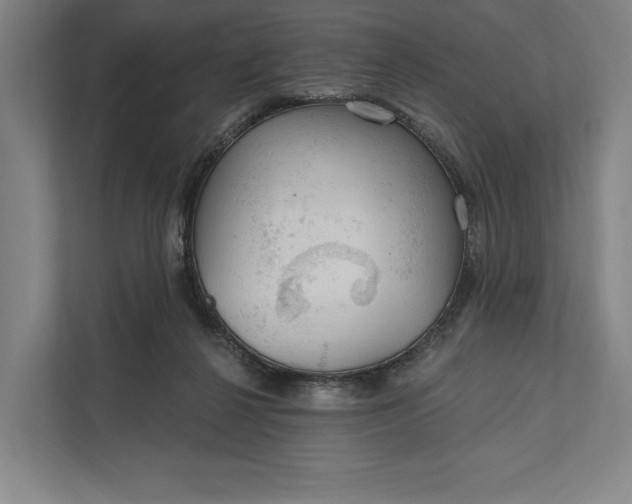 X0000112020264200908171436