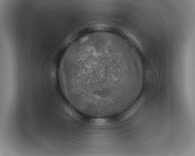 X0000112020265200908171436