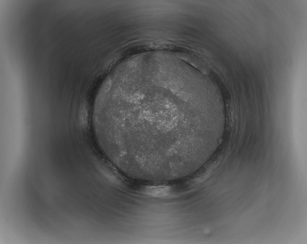 X0000112020266200908171436