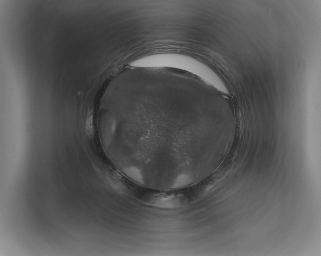 X0000112020267200908171436