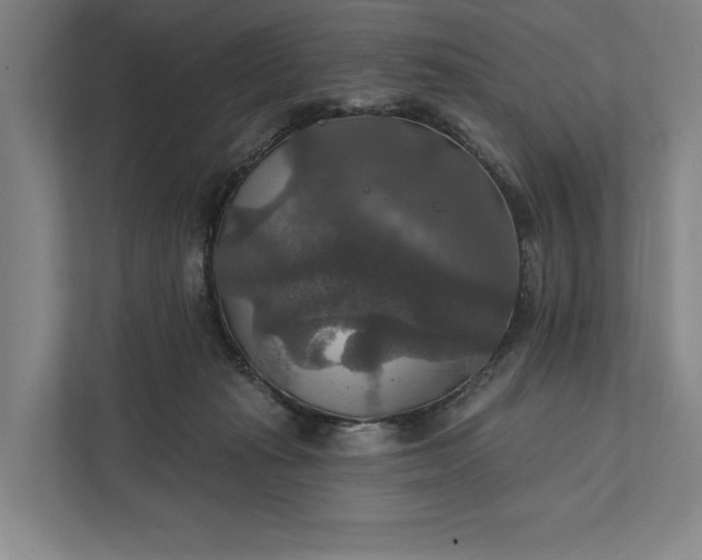 X0000112020269200908171436