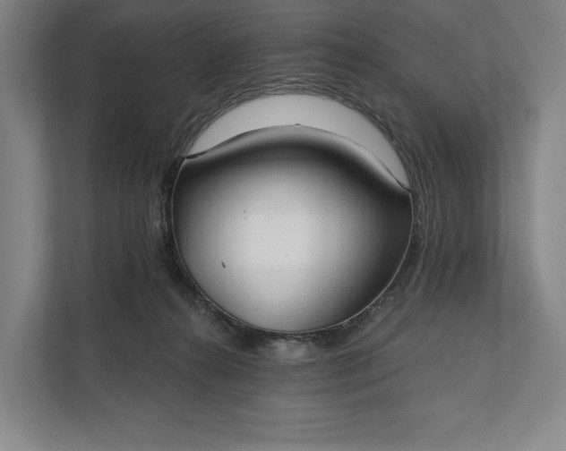 X0000112020272200908171436