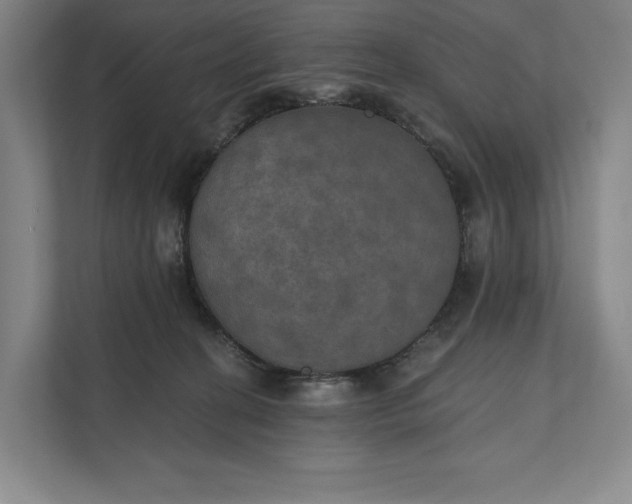 X0000112020274200908171436