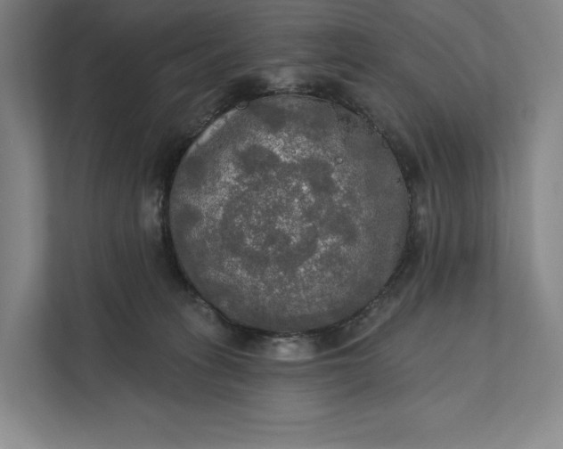 X0000112020275200908171436