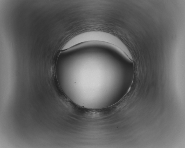 X0000112020276200908171436