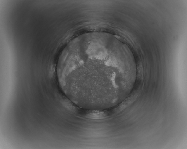 X0000112020278200908171437