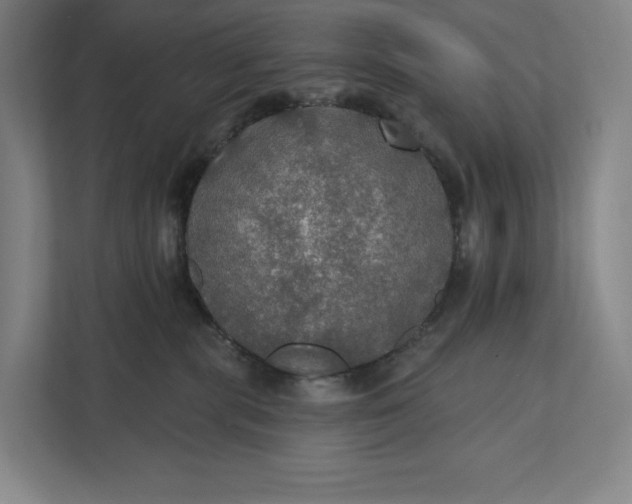 X0000112020283200908171437