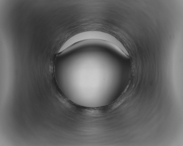 X0000112020284200908171437