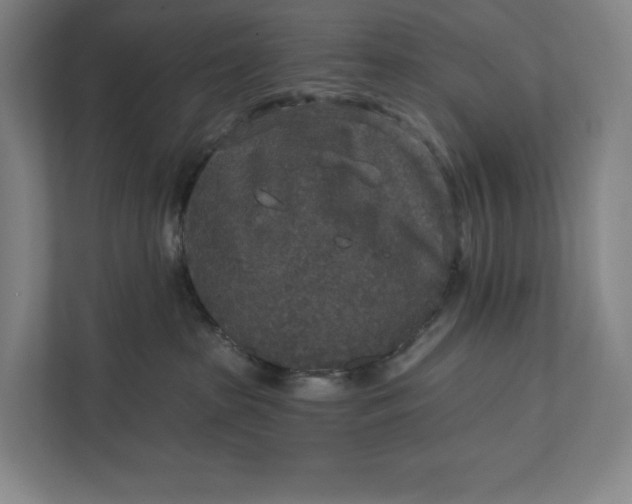 X0000112020285200908171437