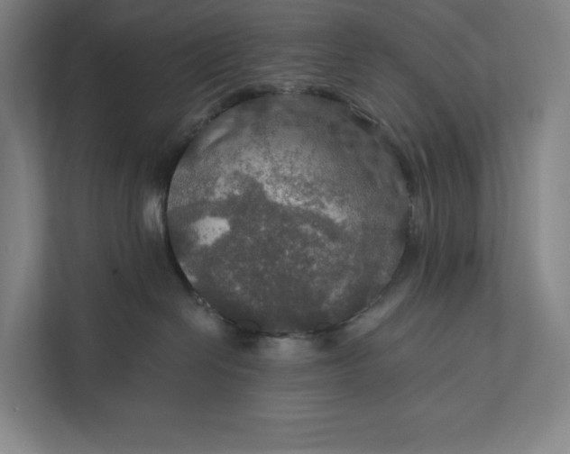 X0000112020286200908171437