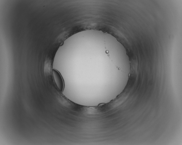 X0000112020287200908171437