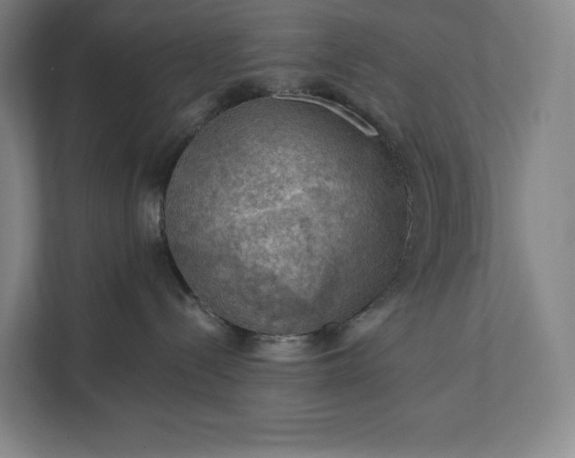 X0000112020288200908171437