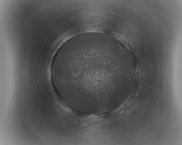 X0000112020290200908171436