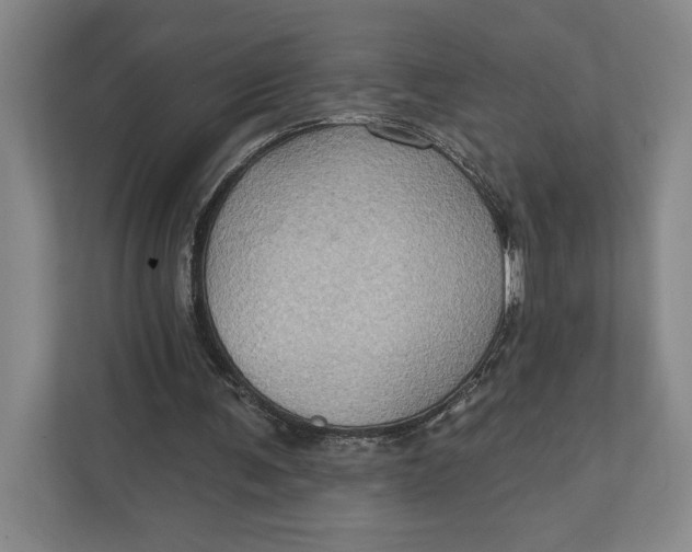 X0000112020291200908171436