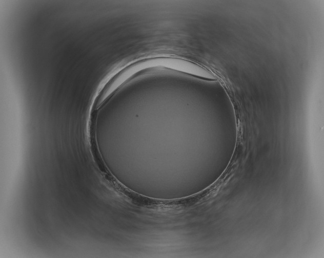 X0000112020292200908171436