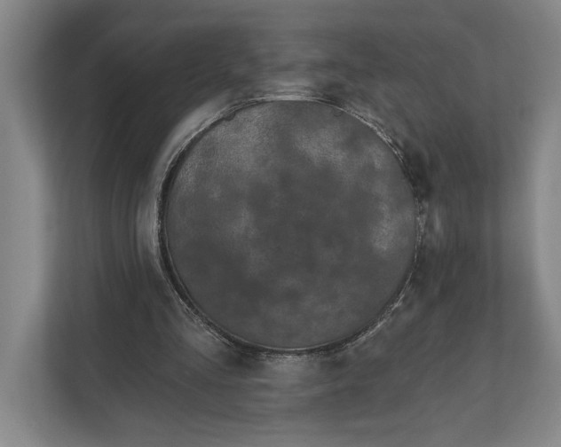 X0000112020293200908171436