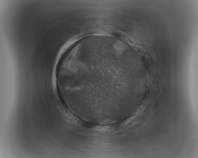 X0000112020294200908171436