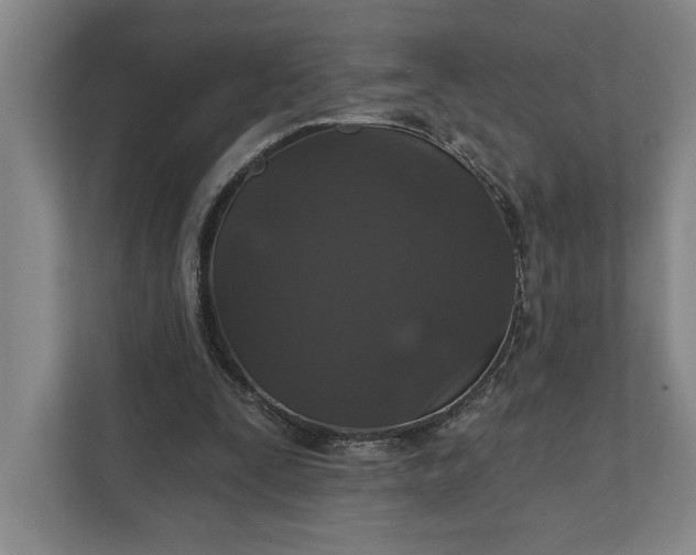 X0000112020295200908171436