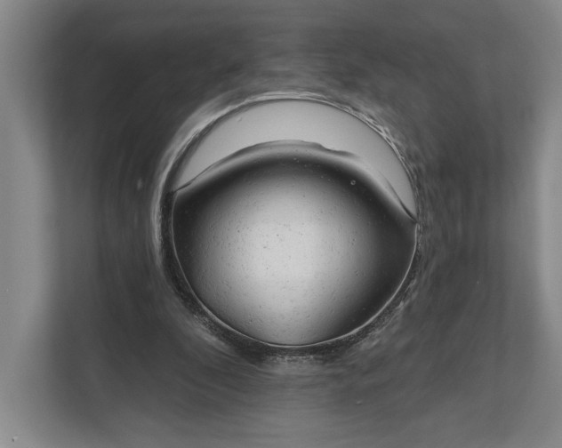 X0000112020296200908171436