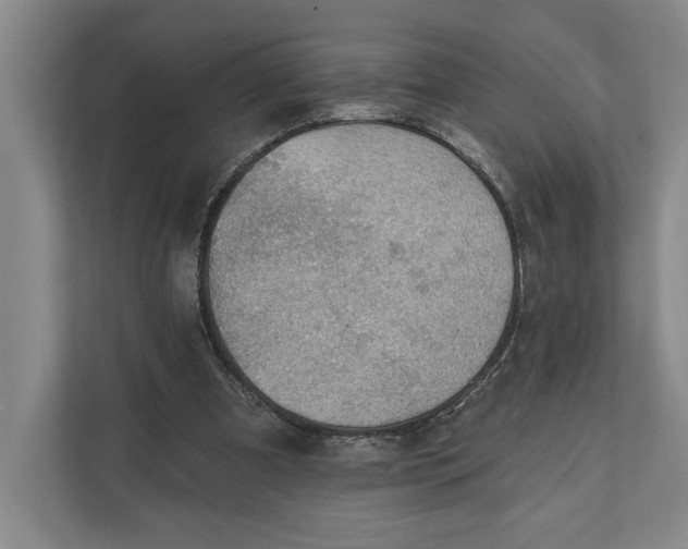 X0000112020297200908171436