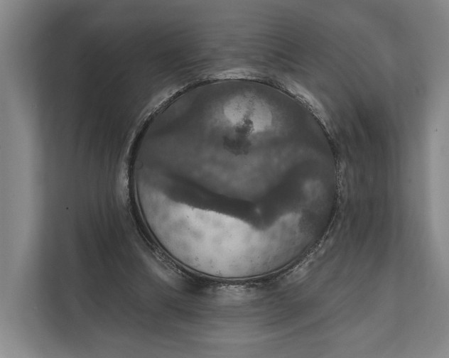 X0000112020298200908171436