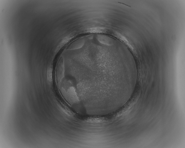 X0000112020299200908171436