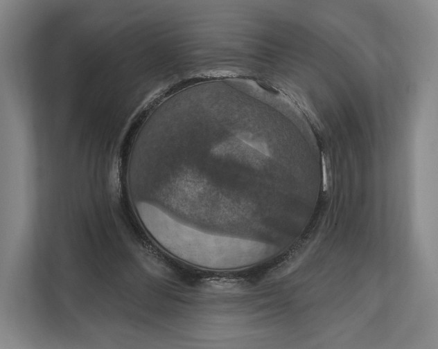 X0000112020300200908171436