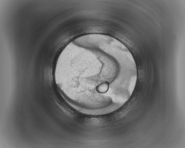 X0000112020302200908171436