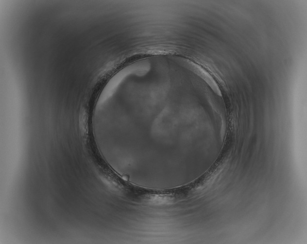 X0000112020303200908171436