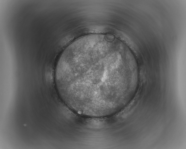 X0000112020305200908171436