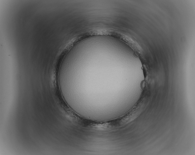 X0000112020306200908171436