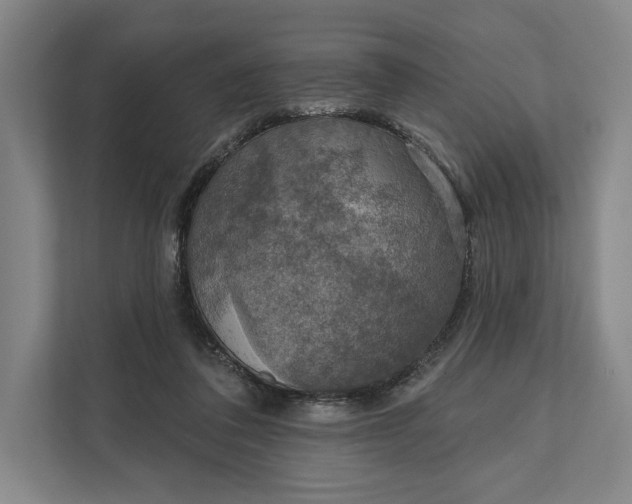 X0000112020308200908171436