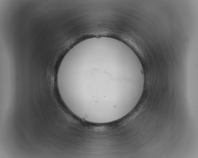 X0000112020309200908171436