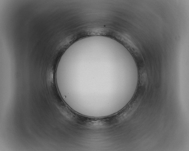 X0000112020310200908171436