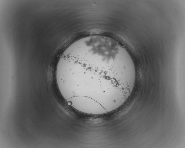 X0000112020311200908171436