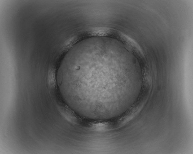 X0000112020312200908171436