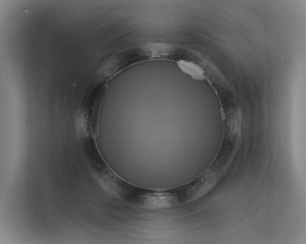 X0000112020316200908171436