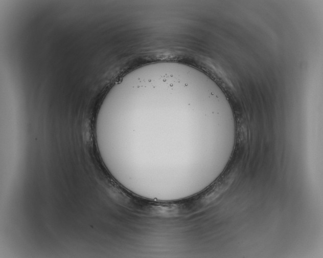 X0000112020317200908171436