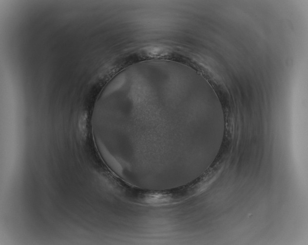 X0000112020319200908171436