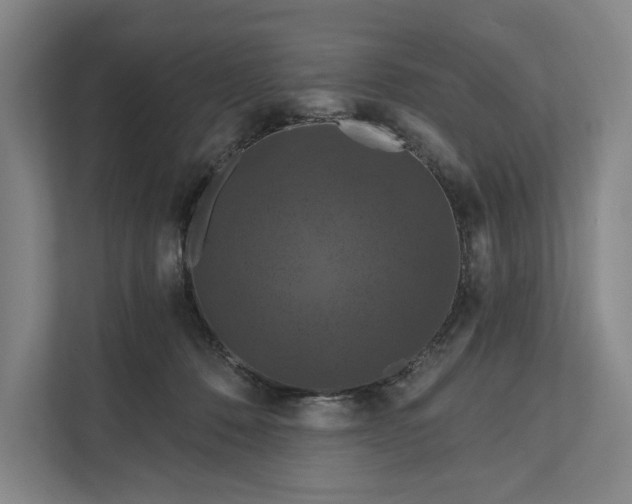 X0000112020320200908171436