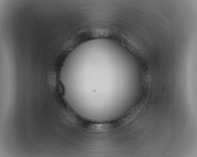 X0000112020323200908171436