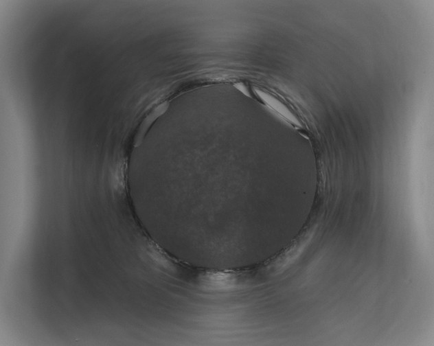 X0000112020325200908171436