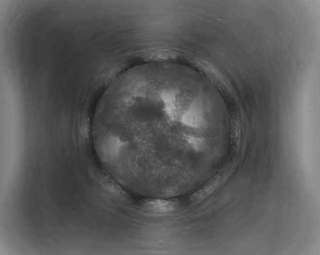 X0000112020326200908171436