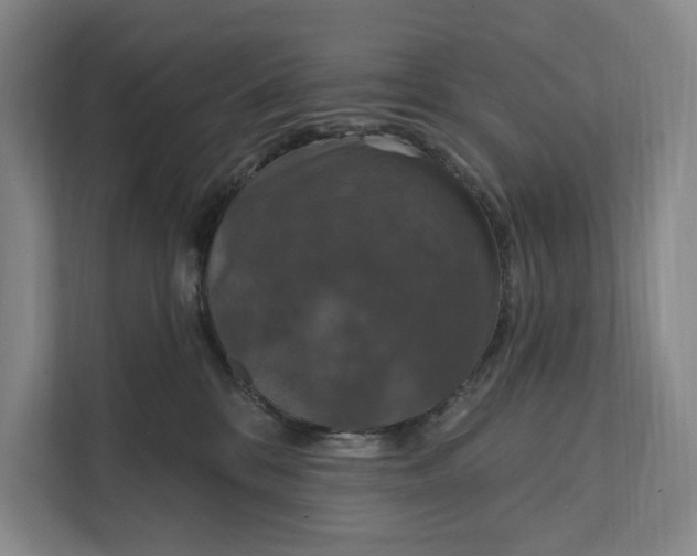 X0000112020328200908171435