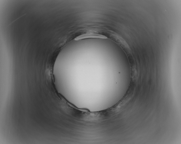 X0000112020329200908171435