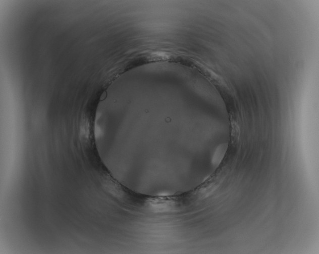 X0000112020331200908171435