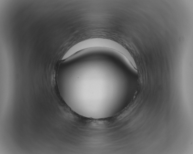 X0000112020332200908171435