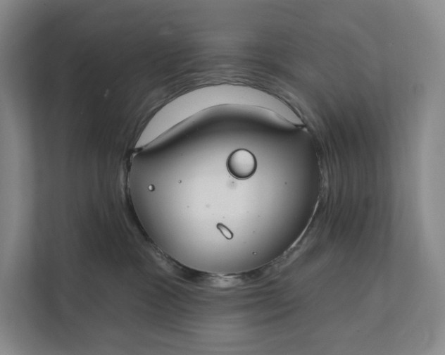 X0000112020333200908171435