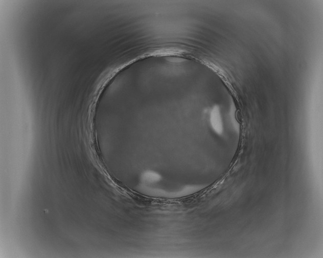 X0000112020337200908171434