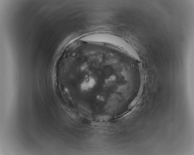 X0000112020339200908171434